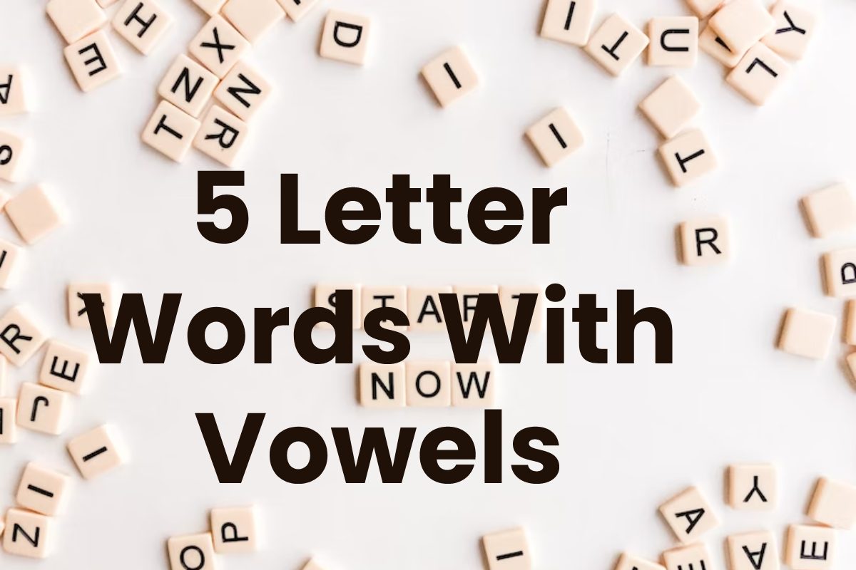 5-letter-words-with-vowels-and-more-info-blog-media-2022