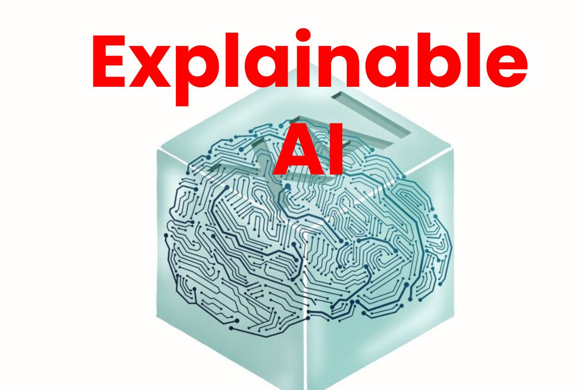 Explainable AI: Definition, Learning Techniques And More - 2024